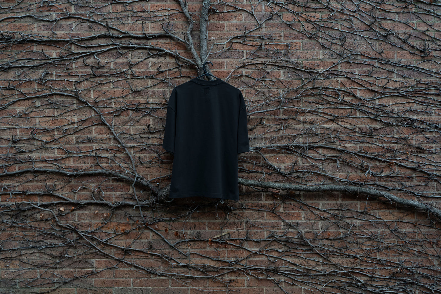 Thee Perfect Oversized Tee - BLACK