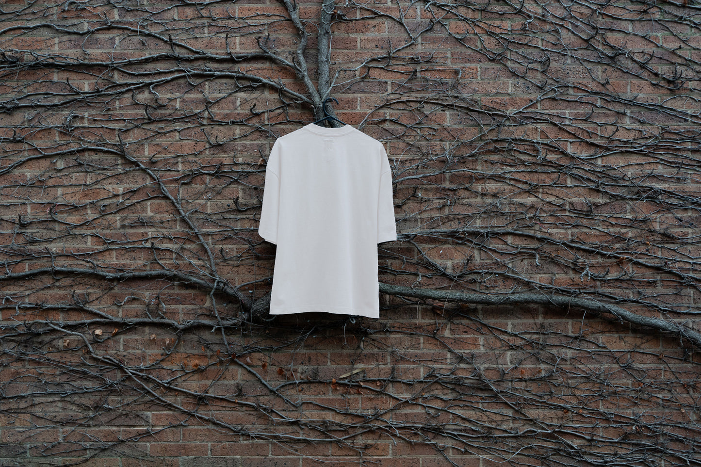 Thee Perfect Oversized Tee - WHITE