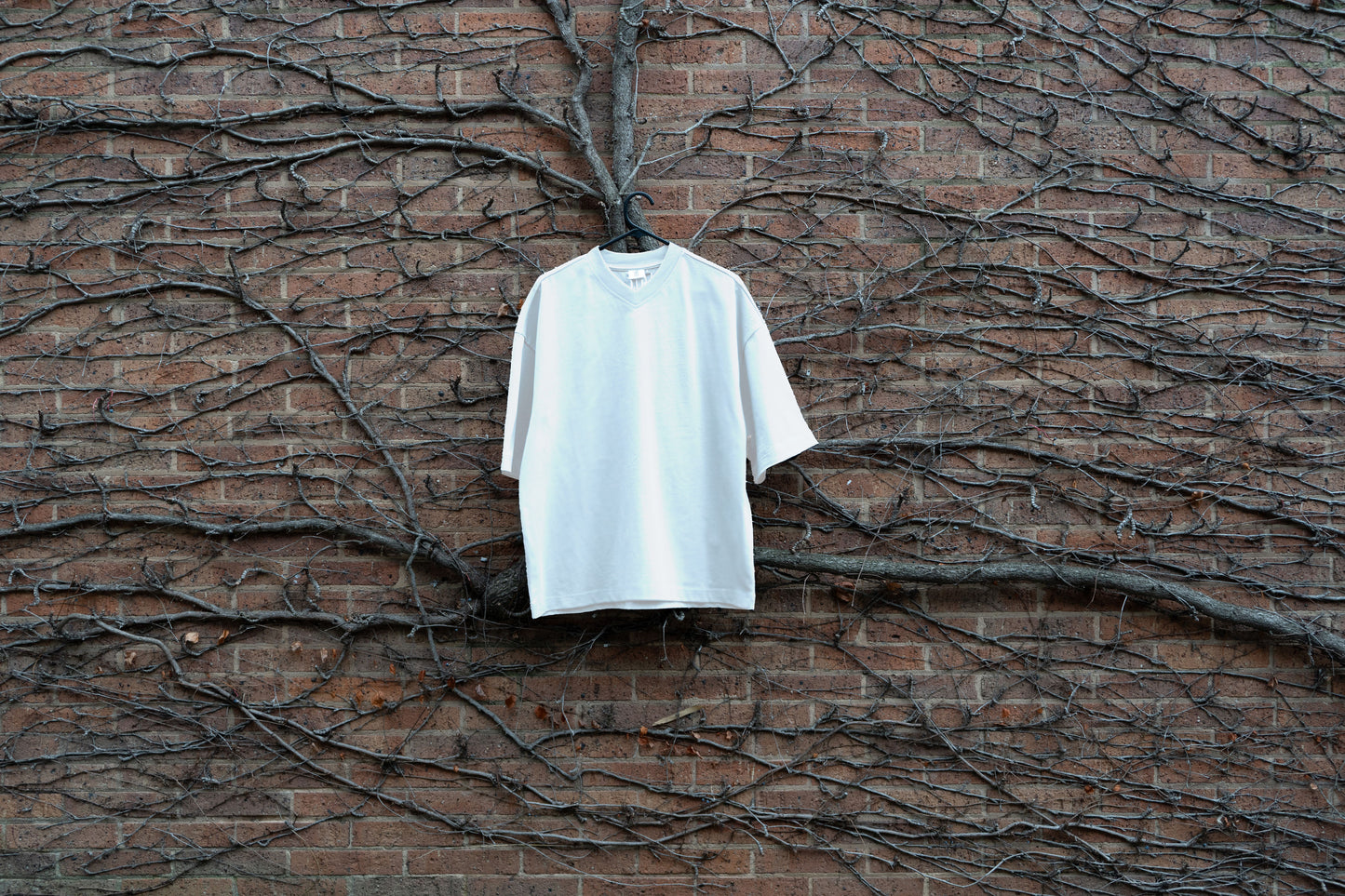 Thee Perfect Oversized Tee - WHITE